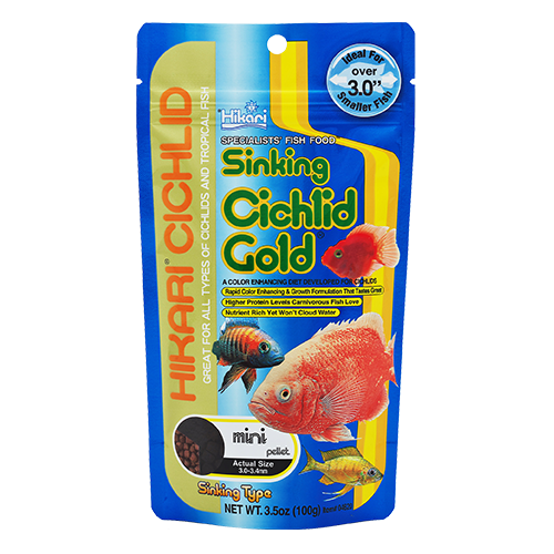 Hikari Sinking Cichlid Gold Mini Pellets (Special Order)