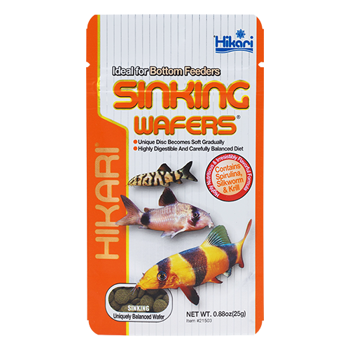 Hikari Sinking Wafers (Special Order)