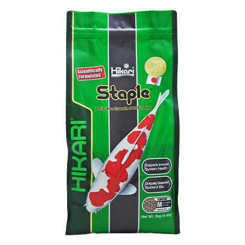 Hikari Staple Koi Pellet (Special Order)