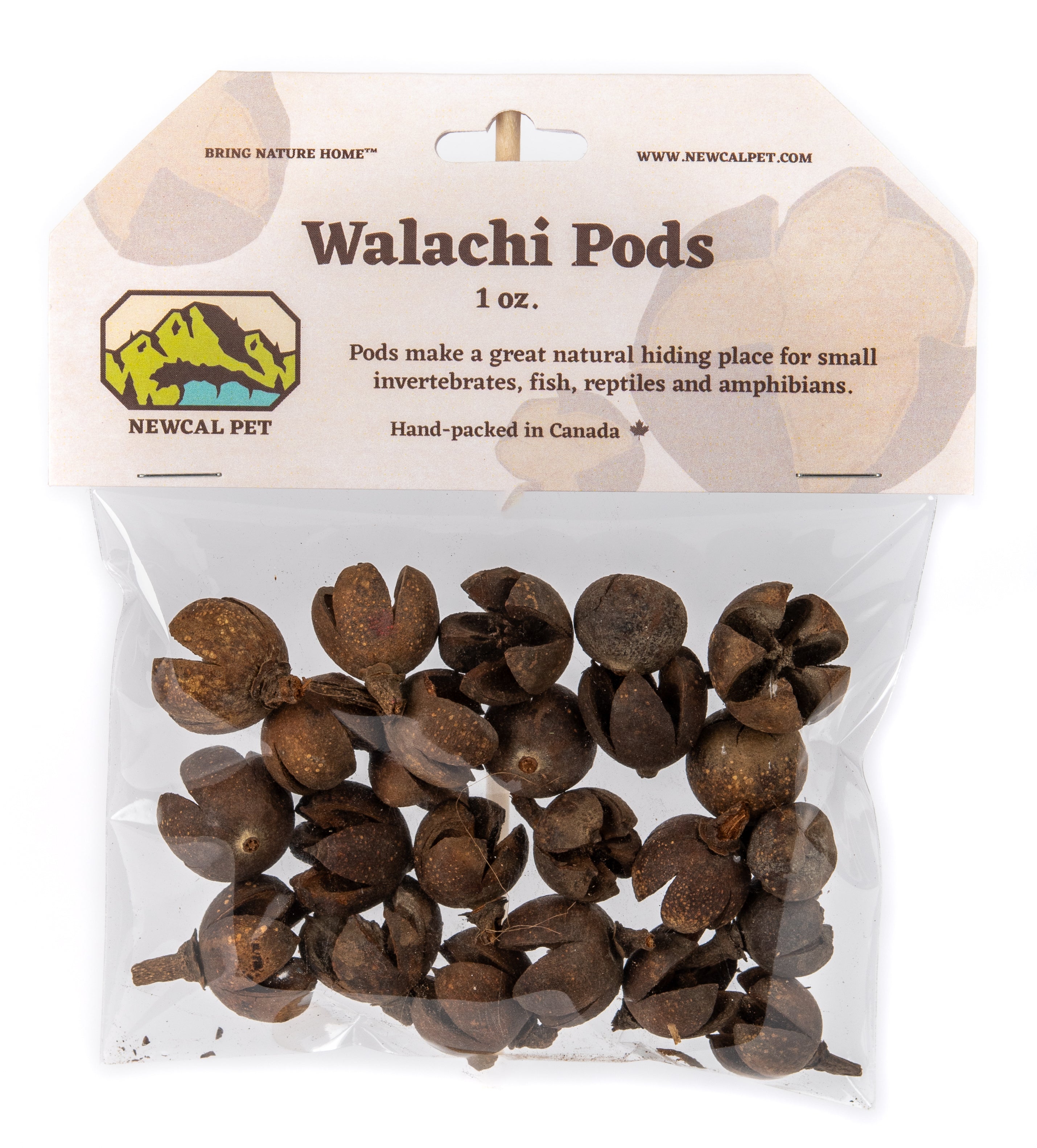 NewCal Walachi Pods