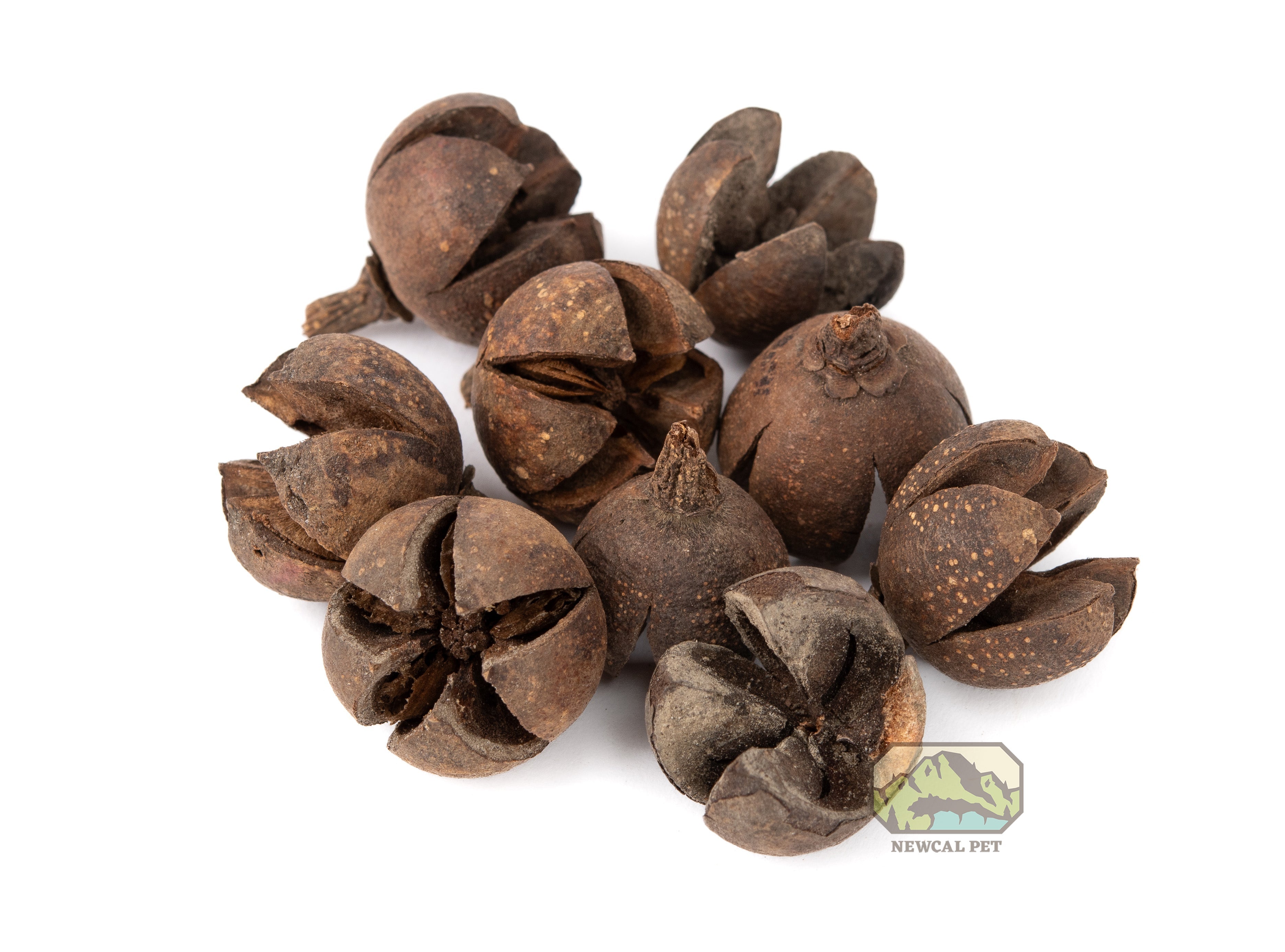 NewCal Walachi Pods