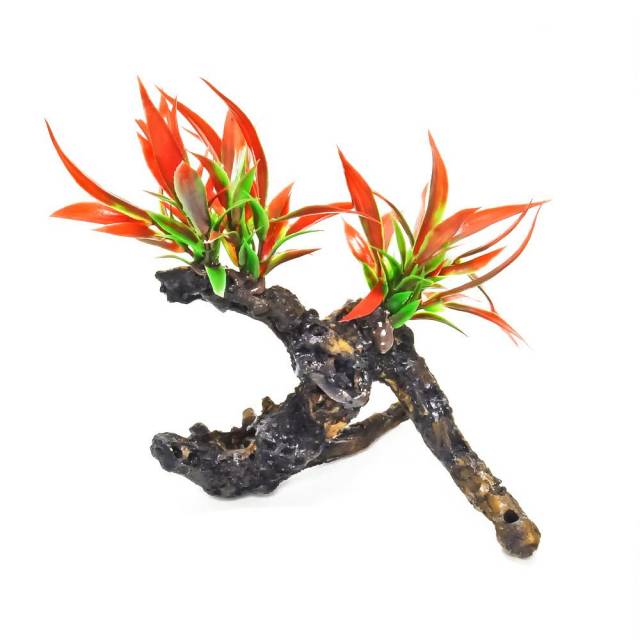 AQUATOP Fire Red Plant on Resin Driftwood (CLEARANCE)