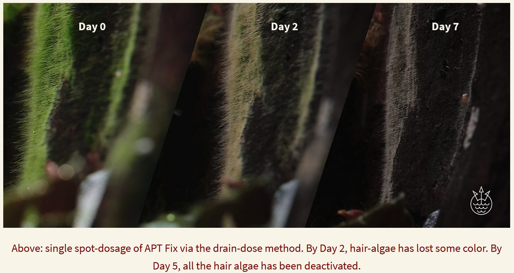 2Hr Aquarist APT F Fix